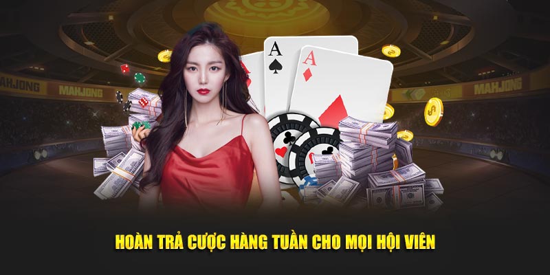 Hoàn trả cược hàng tuần cho mọi hội viên