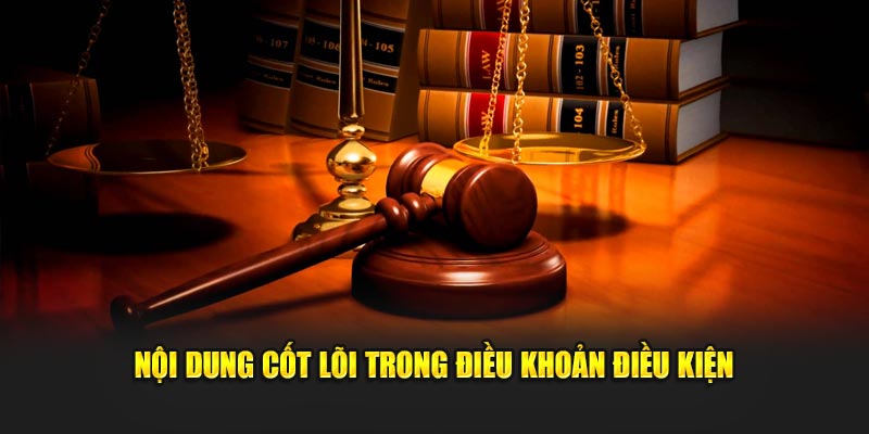 Nội dung cốt yếu trong điều khoản điều kiện