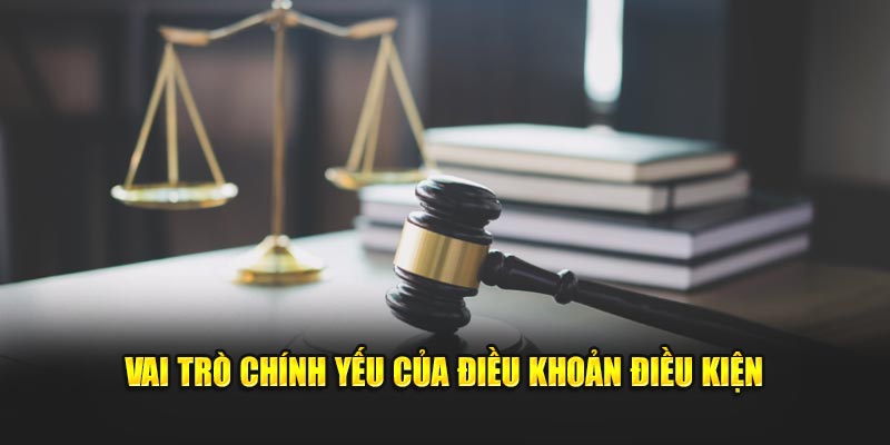 Vai trò chính yếu của  điều khoản điều kiện