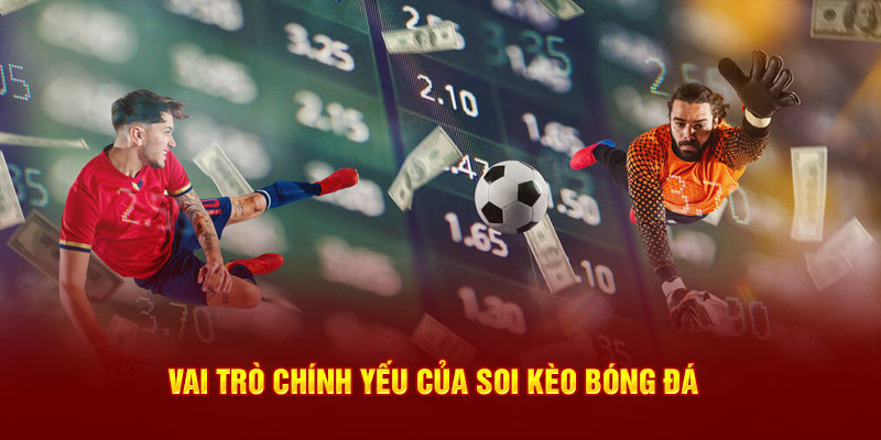 Vai trò chính yếu của soi kèo bóng đá
